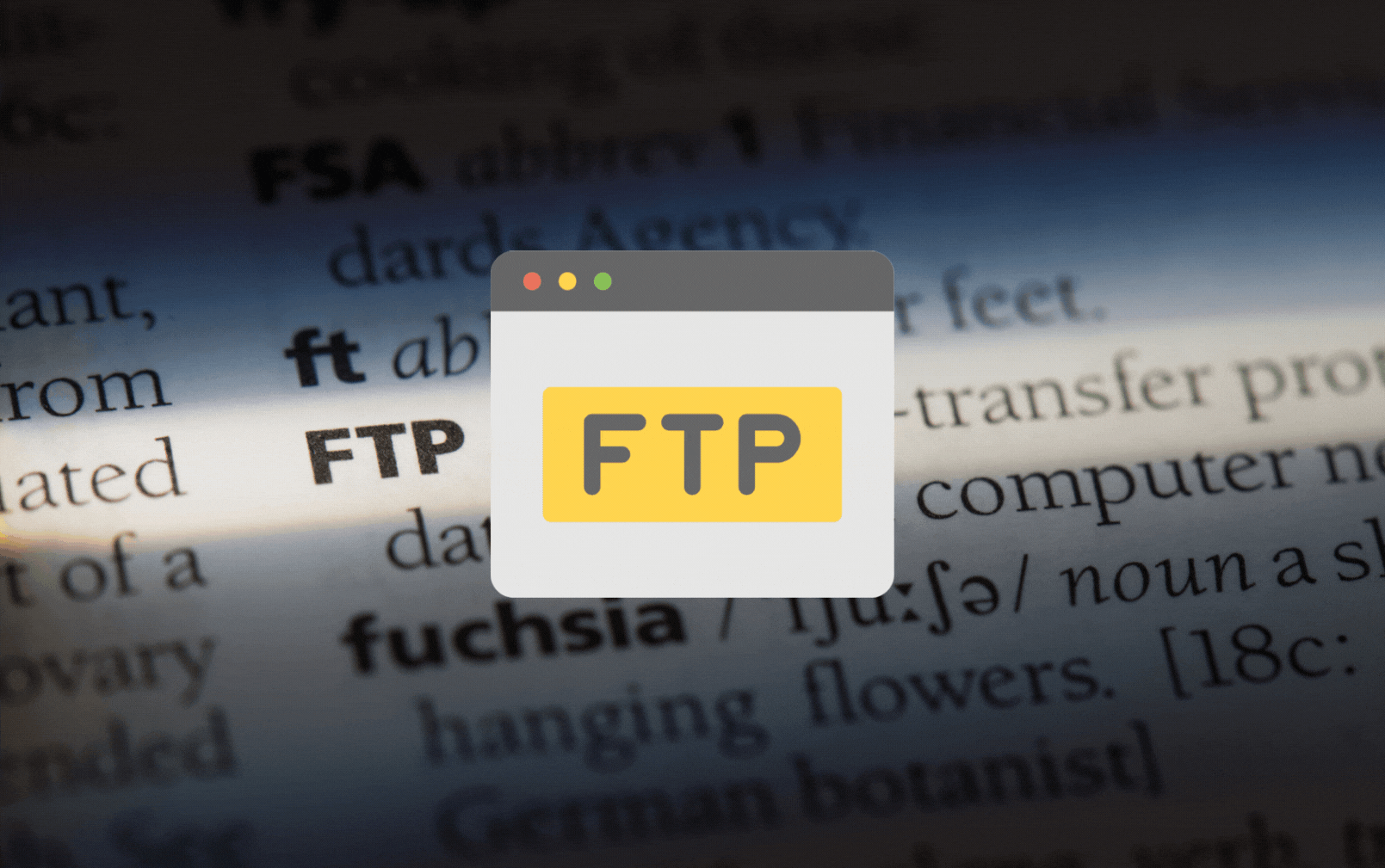 Lees meer over het artikel Wat is FTP?